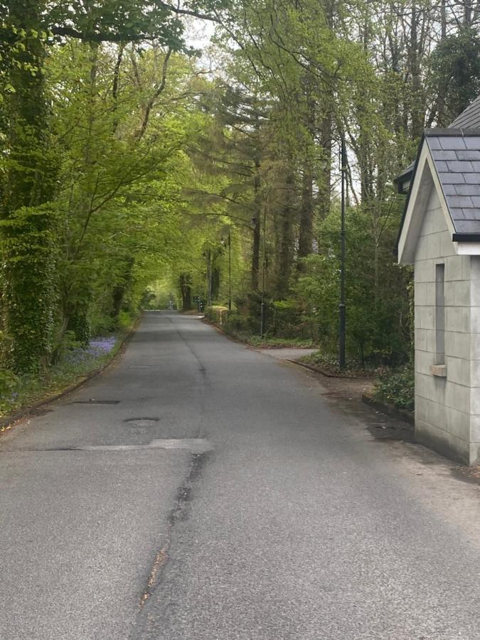 3 The Courtyard Castle Dargan Leilighet Ballygawley Eksteriør bilde